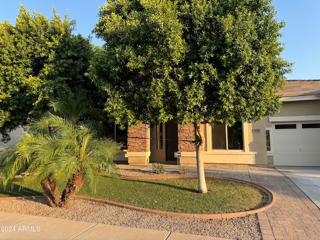 view of property hidden behind natural elements featuring a garage