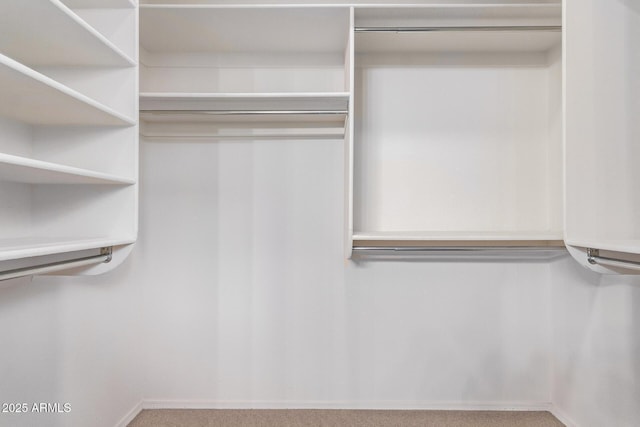 spacious closet with carpet flooring