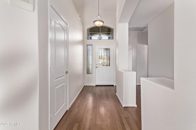 doorway to outside with a high ceiling and dark wood-type flooring