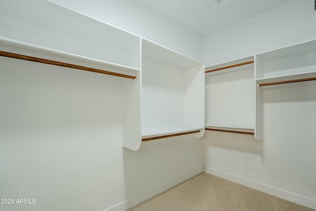 spacious closet featuring carpet and visible vents