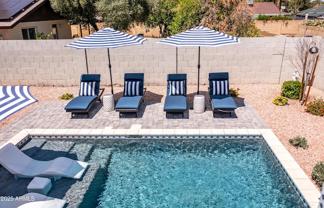 view of swimming pool featuring a fenced backyard, a patio area, and a fenced in pool