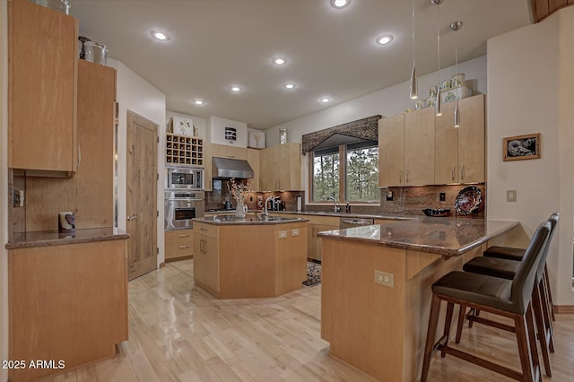 kitchen with under cabinet range hood, dark stone counters, an island with sink, a peninsula, and stainless steel appliances