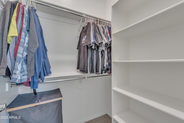 22927 E Via Del Oro, Queen Creek, AZ 85142 - walk in closet with carpet floors