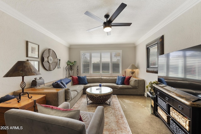 living room with a textured ceiling, a textured wall, ornamental molding, and carpet flooring