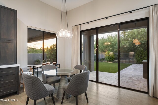 dining area with plenty of natural light and light hardwood / wood-style floors