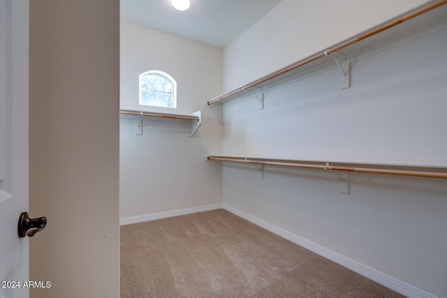 walk in closet with light carpet