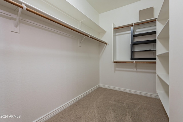 spacious closet with carpet flooring