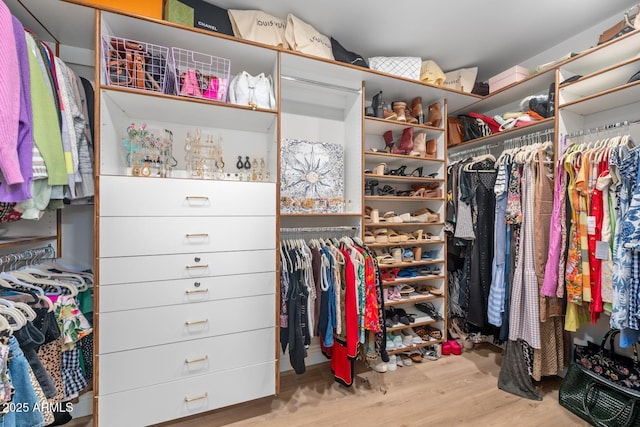 8219 S Pecan Grove Cir, Tempe, AZ 85284 - spacious closet with wood finished floors