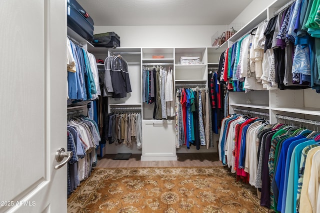 walk in closet with wood finished floors