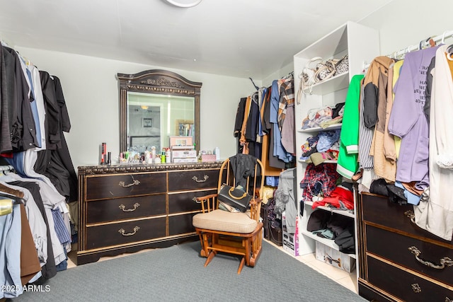 spacious closet with light carpet