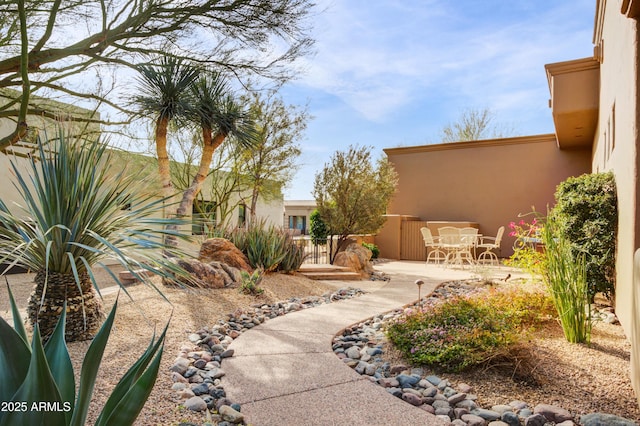 view of yard featuring a patio area