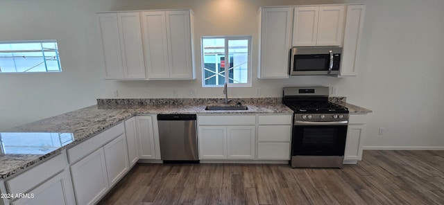 kitchen featuring a wealth of natural light, sink, dark hardwood / wood-style floors, and stainless steel appliances