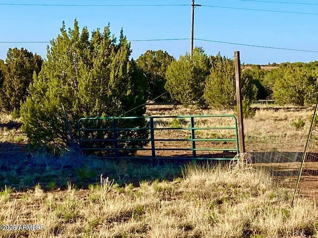1377 Bourdon Ranch Rd Unit 1, Show Low, AZ 85901