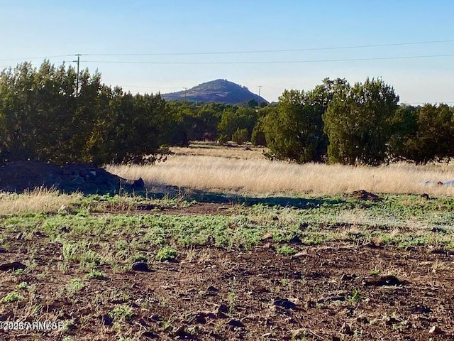 1377 Bourdon Ranch Rd Unit 1, Show Low, AZ 85901