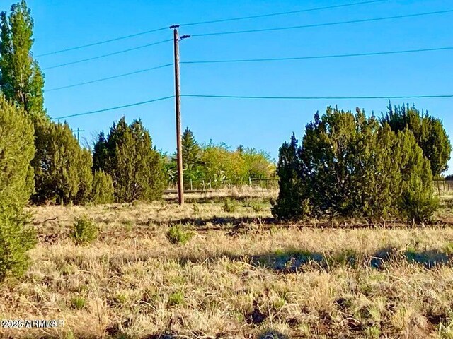 1377 Bourdon Ranch Rd Unit 1, Show Low, AZ 85901