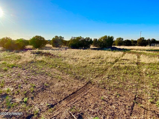 1377 Bourdon Ranch Rd Unit 1, Show Low, AZ 85901