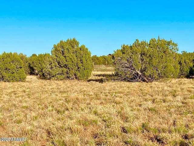 1377 Bourdon Ranch Rd Unit 1, Show Low, AZ 85901