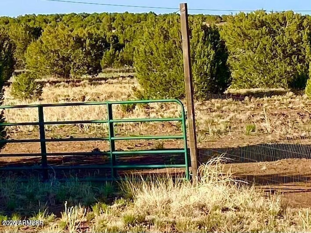 1377 Bourdon Ranch Rd Unit 1, Show Low, AZ 85901