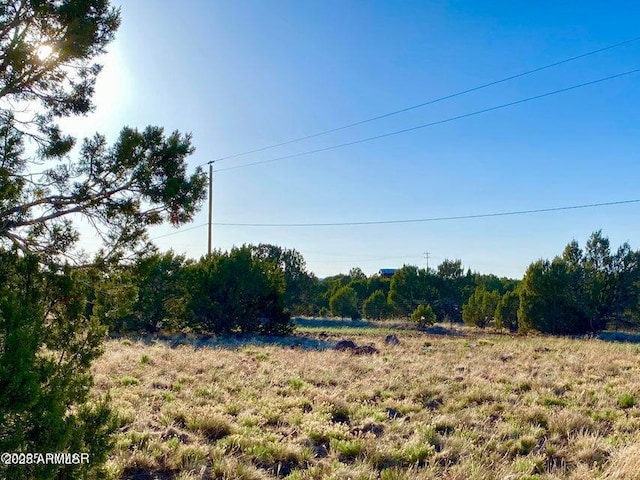 1377 Bourdon Ranch Rd Unit 1, Show Low, AZ 85901