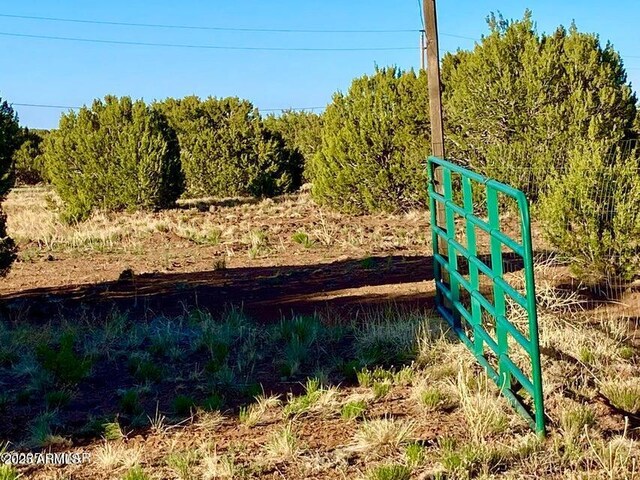 1377 Bourdon Ranch Rd Unit 1, Show Low, AZ 85901