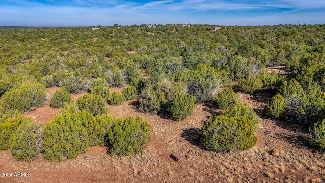 Listing photo 2 for 7 County Road 8111 Unit 673, Concho AZ 85924