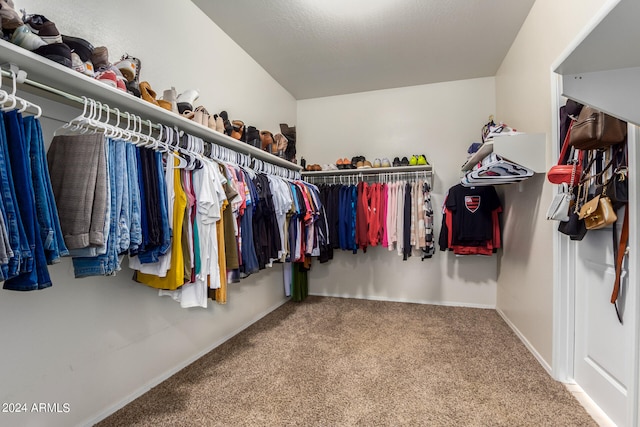 spacious closet with carpet