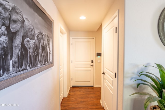 hallway featuring dark wood-type flooring