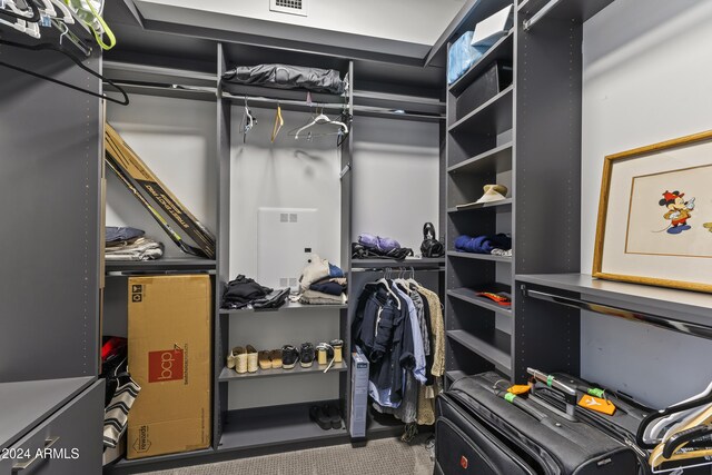 view of walk in closet