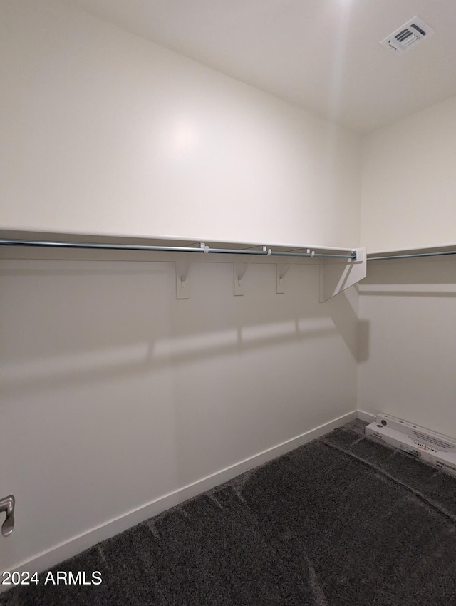 spacious closet featuring carpet floors