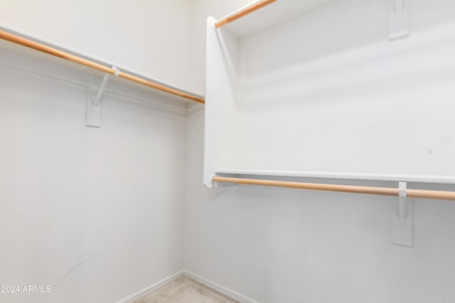 spacious closet with light carpet