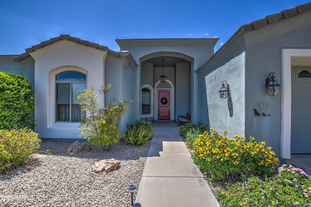 entrance to property featuring stucco siding