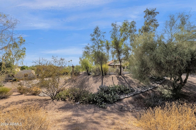 view of local wilderness