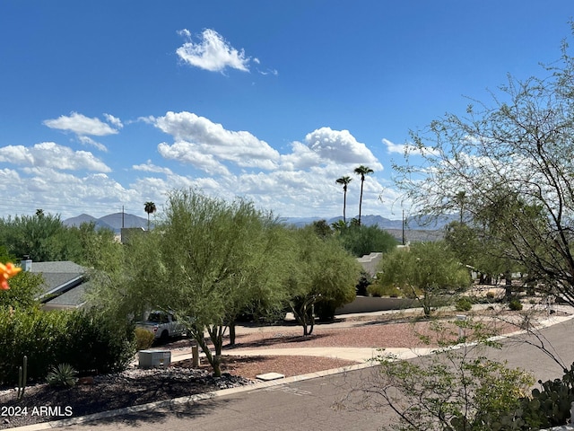 view of community with a mountain view