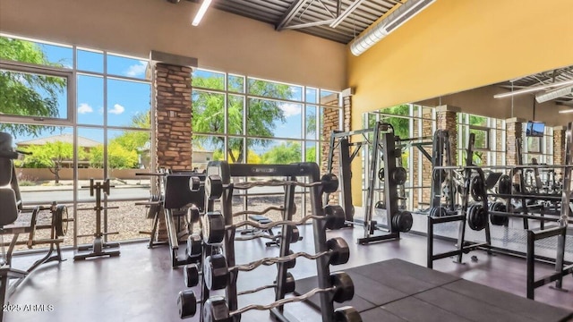 28242 N Nealite Dr, San Tan Valley, AZ 85143 - exercise room with a towering ceiling