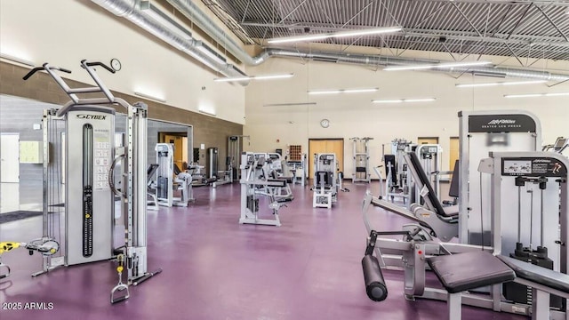 28242 N Nealite Dr, San Tan Valley, AZ 85143 - gym with a towering ceiling