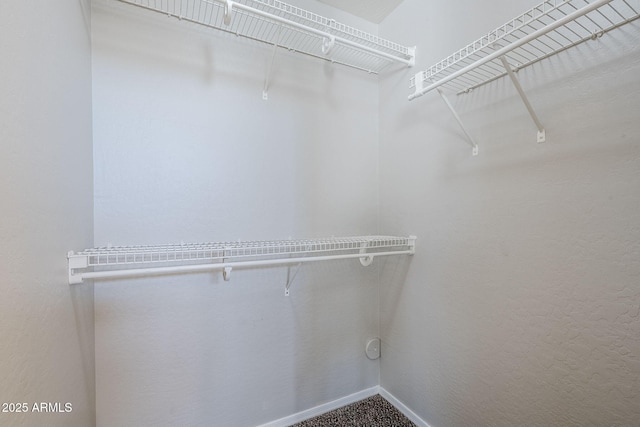 16077 W Larkspur Dr, Goodyear, AZ 85338 - view of spacious closet