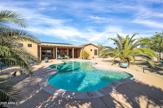 view of swimming pool with a patio