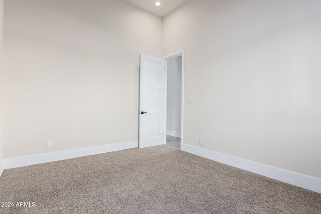 carpeted spare room featuring a towering ceiling