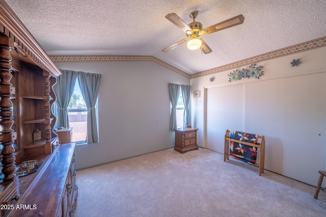 17810 N 34th Pl, Phoenix, AZ 85032 - office space with vaulted ceiling, a textured ceiling, a ceiling fan, and carpet