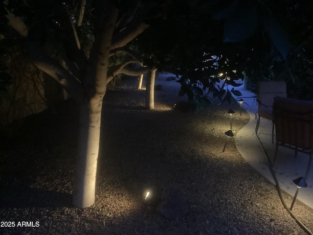 1036 E Wagon Wheel Dr, Phoenix, AZ 85020 - view of yard