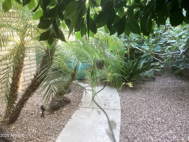 1036 E Wagon Wheel Dr, Phoenix, AZ 85020 - view of yard