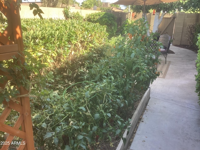 1036 E Wagon Wheel Dr, Phoenix, AZ 85020 - view of yard with a patio area