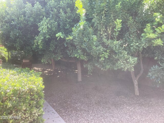 1036 E Wagon Wheel Dr, Phoenix, AZ 85020 - view of yard