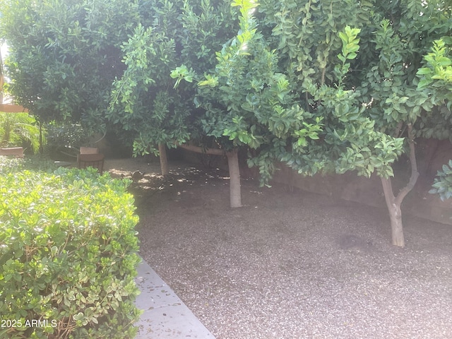 1036 E Wagon Wheel Dr, Phoenix, AZ 85020 - view of yard