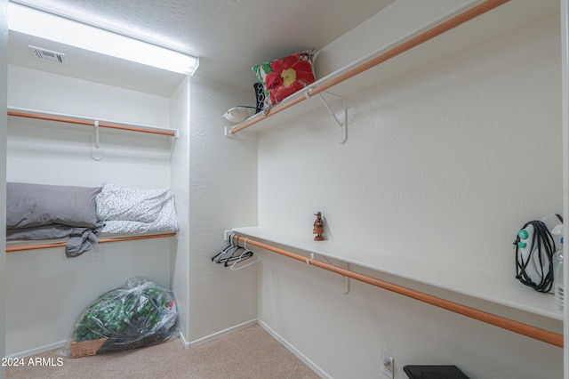 walk in closet featuring carpet flooring