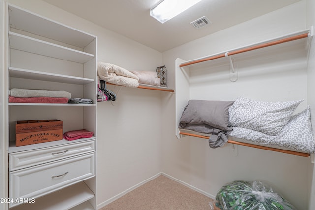 walk in closet with carpet