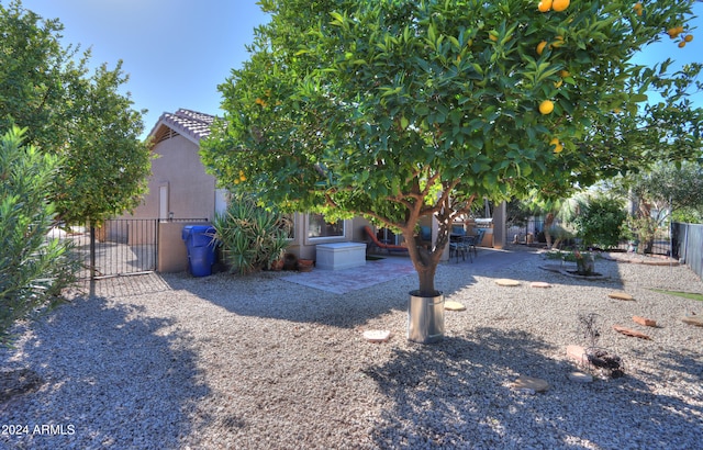 view of yard featuring a patio