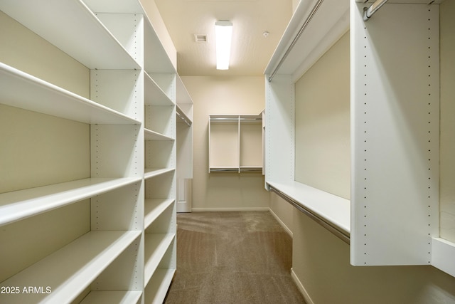 walk in closet featuring carpet floors