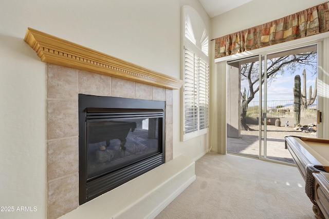 details featuring a tiled fireplace and carpet