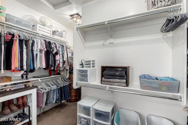 spacious closet featuring carpet flooring